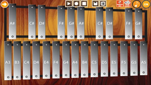 Professional Xylophone