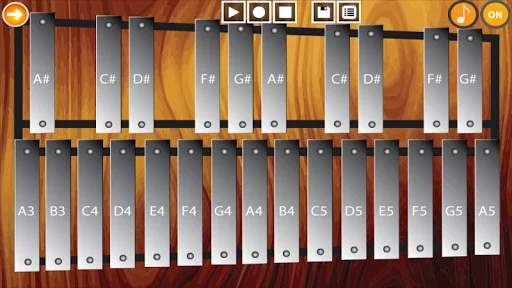 Professional Xylophone Elite