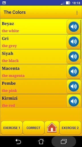 Learning Turkish language (les screenshot 4