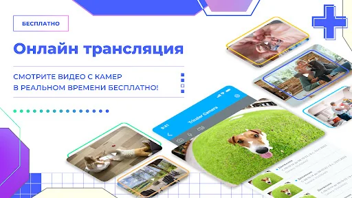 Триколор Видеонаблюдение screenshot 1