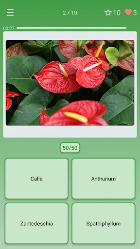 Quiz: Flowers, Plants
