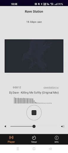 Rave Station
