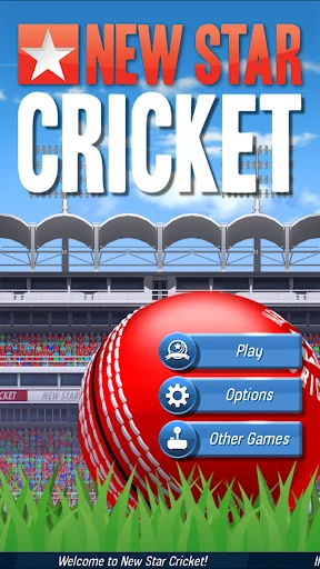 New Star™ Cricket screenshot 1