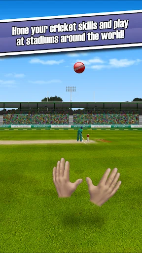 New Star™ Cricket screenshot 4