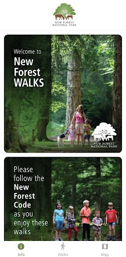 New Forest National Park Walks