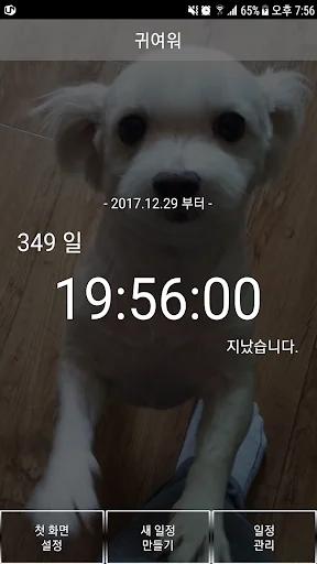 D Day 카운터 - 기념일 관리