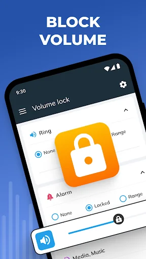 Volume Control & Lock and Mute