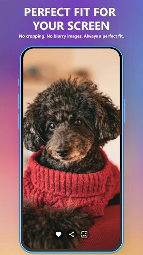 Dog & Puppy Wallpapers 4K & HD screenshot 3