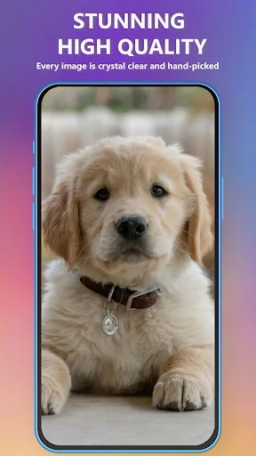 Puppy Wallpapers 4K & HD screenshot 2