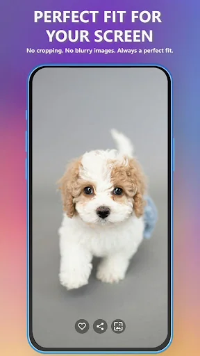 Puppy Wallpapers 4K & HD screenshot 3