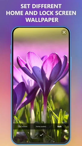 Spring Wallpapers 4K & HD screenshot 4