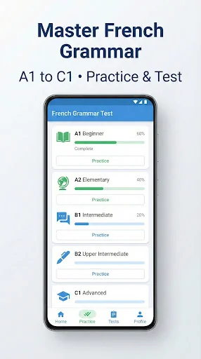 French Grammar Test screenshot 1