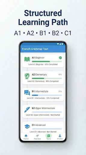 French Grammar Test screenshot 2
