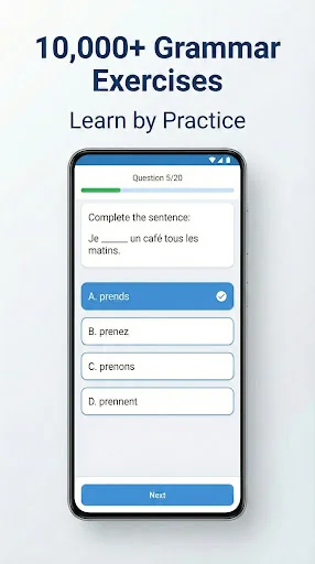 French Grammar Test screenshot 3