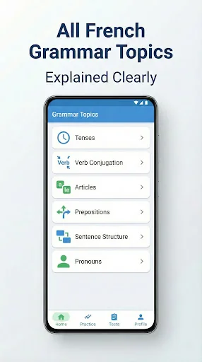 French Grammar Test screenshot 4