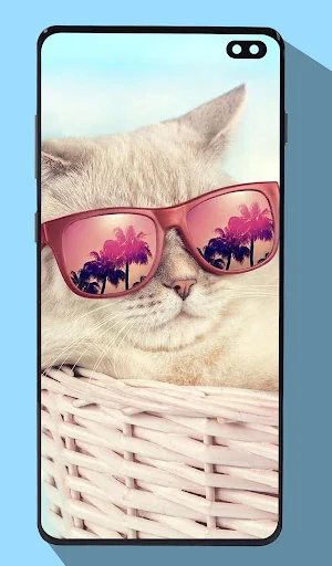 Cute Cat Wallpapers screenshot 4