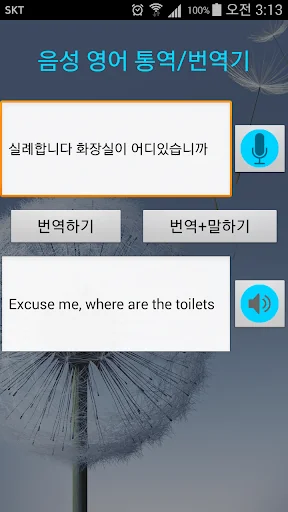 Korean to English translator screenshot 2