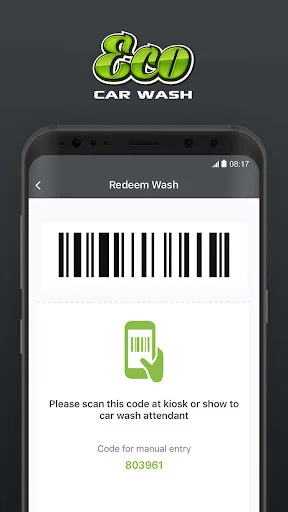 The Eco Car Wash