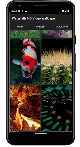 Waterfalls HD. Video Wallpaper screenshot 3