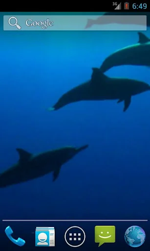 Wild Dolphins Video Wallpaper screenshot 2