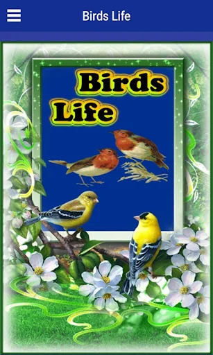 Birds Life