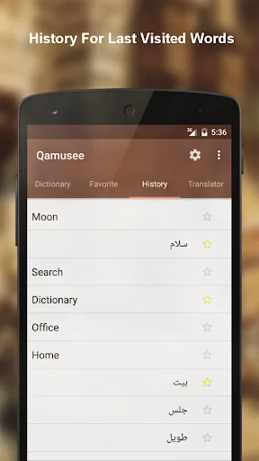 Arabic - English dictionary screenshot 3
