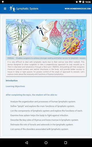 Lymphatic System