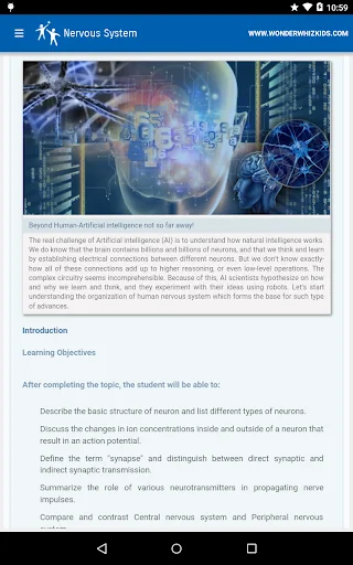 Nervous System