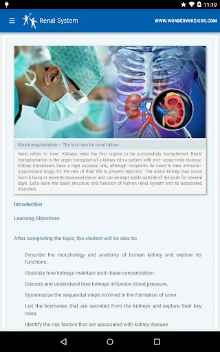 Renal System