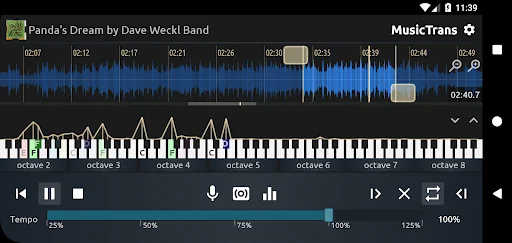 MusicTrans tool for musicians screenshot 4