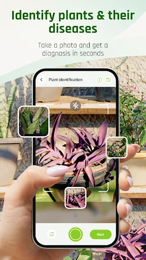 Plantis Plant Identifier, Care