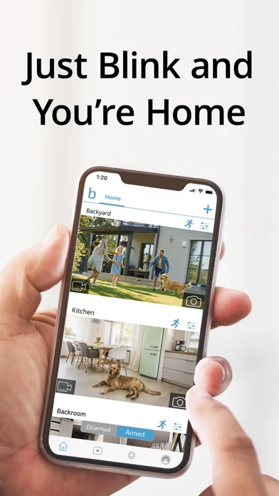 Blink Home Monitor