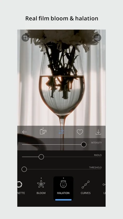 RNI Films: Photo & RAW Editor screenshot 3