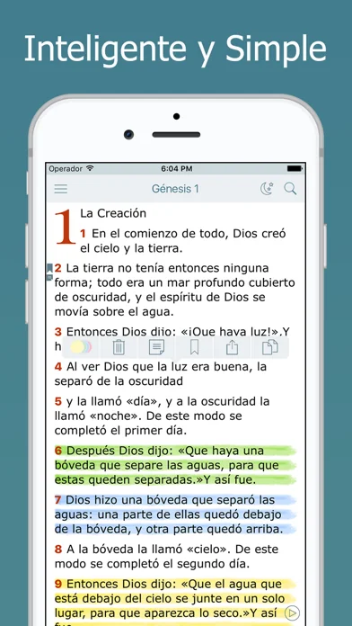 Biblia Dios Habla Hoy en Audio screenshot 1