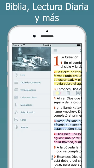 Biblia Dios Habla Hoy en Audio screenshot 2