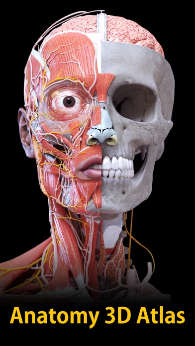 Anatomie - 3D Atlas