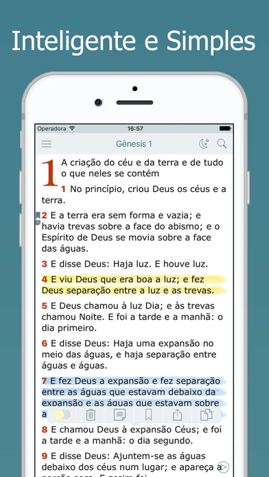 Bíblia Sagrada Almeida e Audio screenshot 1