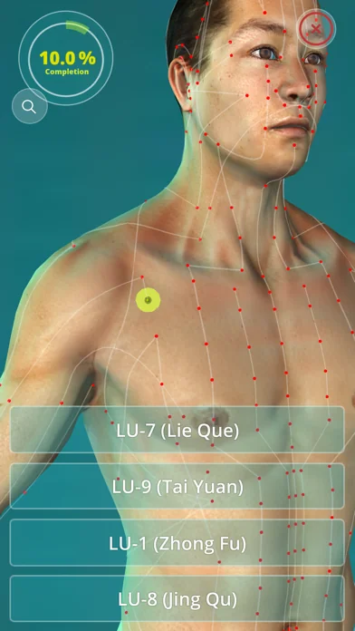 Acupuncture Quiz - Point Locations