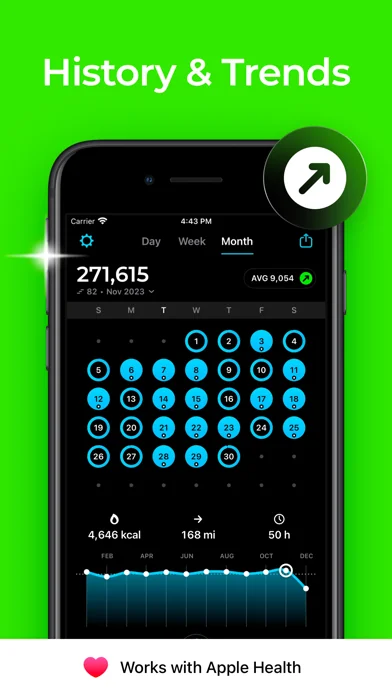 StepsApp Schrittzähler screenshot 3