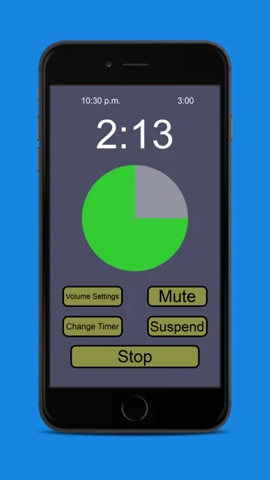 P-Timer