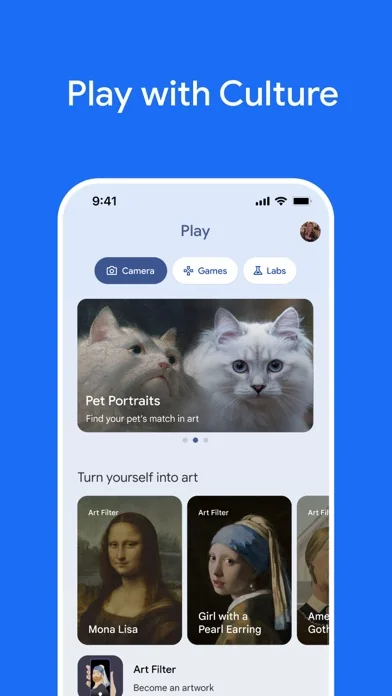 Google Arts & Culture screenshot 3