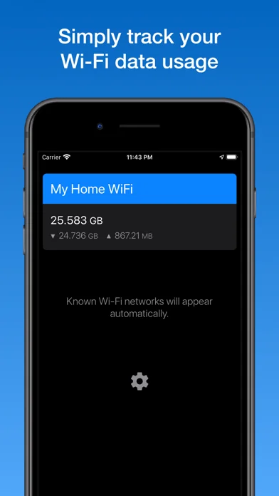 WifiMan from DataMan