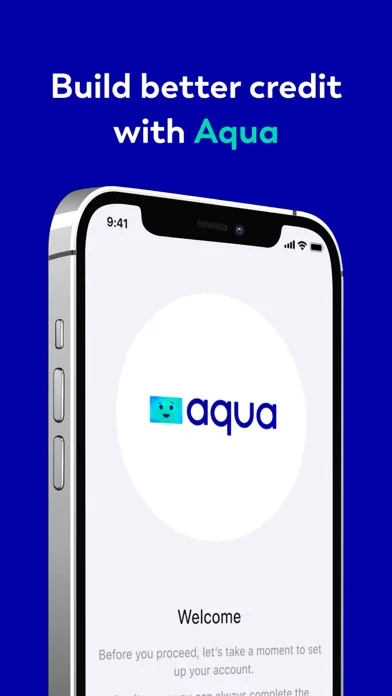 Aqua credit card screenshot 1