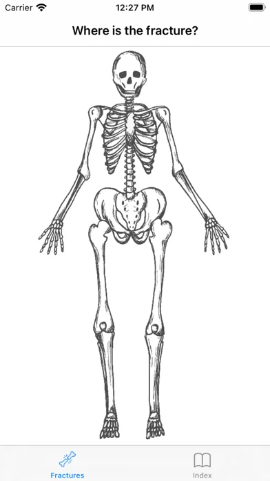 OrthoFlow