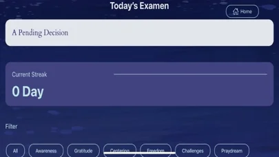Reimagining the Examen screenshot 2