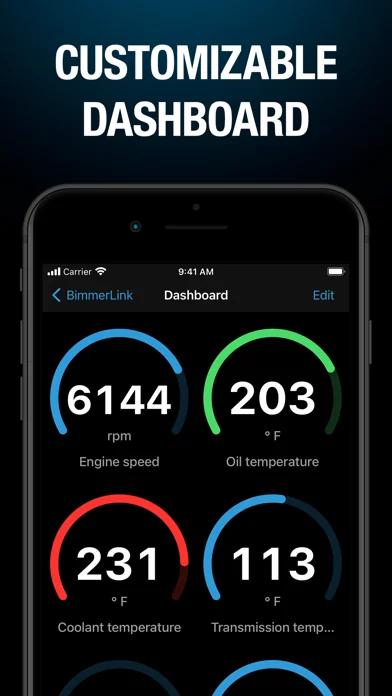BimmerLink screenshot 1