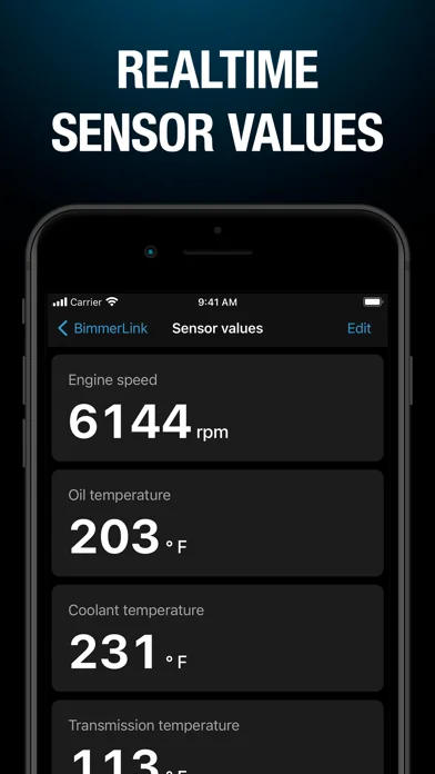 BimmerLink screenshot 2