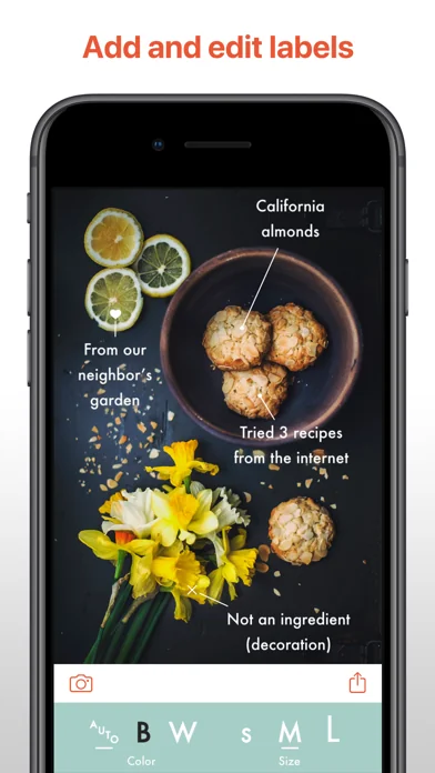 This: Easy Photo Labels