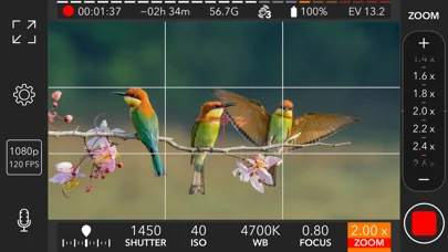 ProMovie Recorder screenshot 3