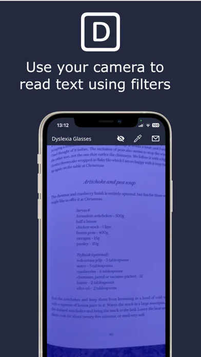 Dyslexia Glasses